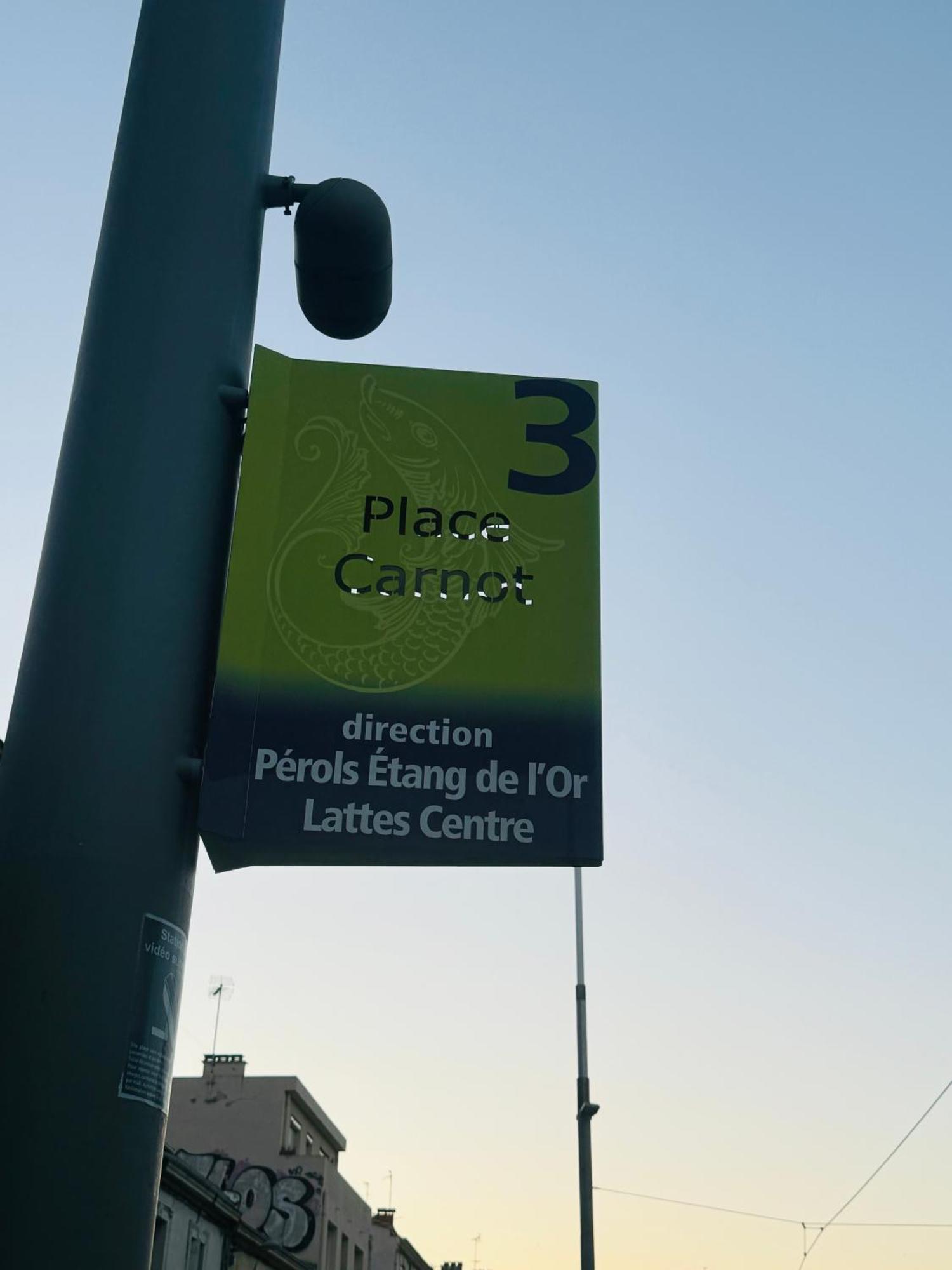 Paradis Calme En Plein Centre Ville Montpellier Exteriör bild